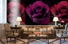 Обои 2212 фото в интерьере кабинета превью