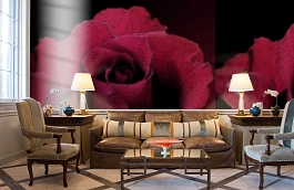 Обои 2213 фото в интерьере кабинета превью