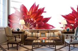 Обои P021401-6 фото в интерьере кабинета превью