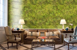 Обои P192801-6 фото в интерьере кабинета превью