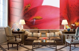 Обои 890051 фото в интерьере кабинета превью