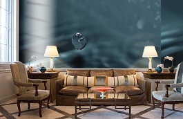 Обои 891508 фото в интерьере кабинета превью