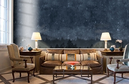 Обои 8845 фото в интерьере кабинета превью