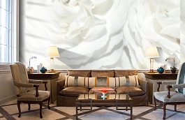 Обои E040602-8 фото в интерьере кабинета превью