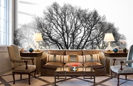 Обои P020501-8 фото в интерьере кабинета превью