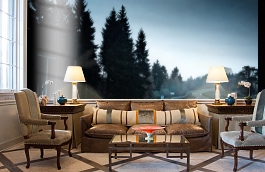 Обои P170401-8 фото в интерьере кабинета превью