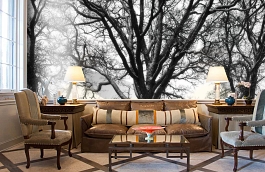 Обои P020501-9 фото в интерьере кабинета превью