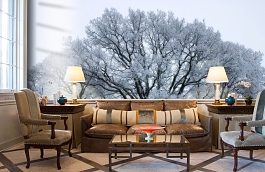 Обои P020502-9 фото в интерьере кабинета превью