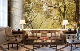 Обои 4500214 фото в интерьере кабинета превью