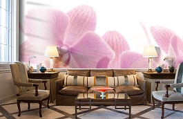 Обои 838350 фото в интерьере кабинета превью