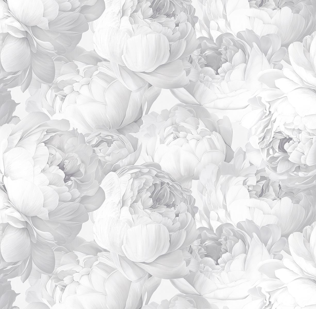 Обои Victoria Stenova Peony 585330 На фото Victoria Stenova Peony 585330