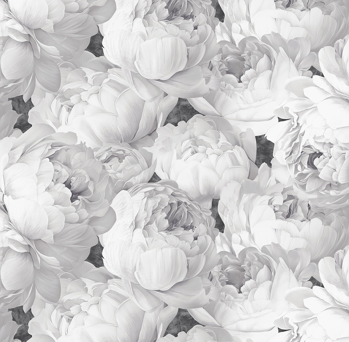 Обои Victoria Stenova Peony 585337 На фото Victoria Stenova Peony 585337