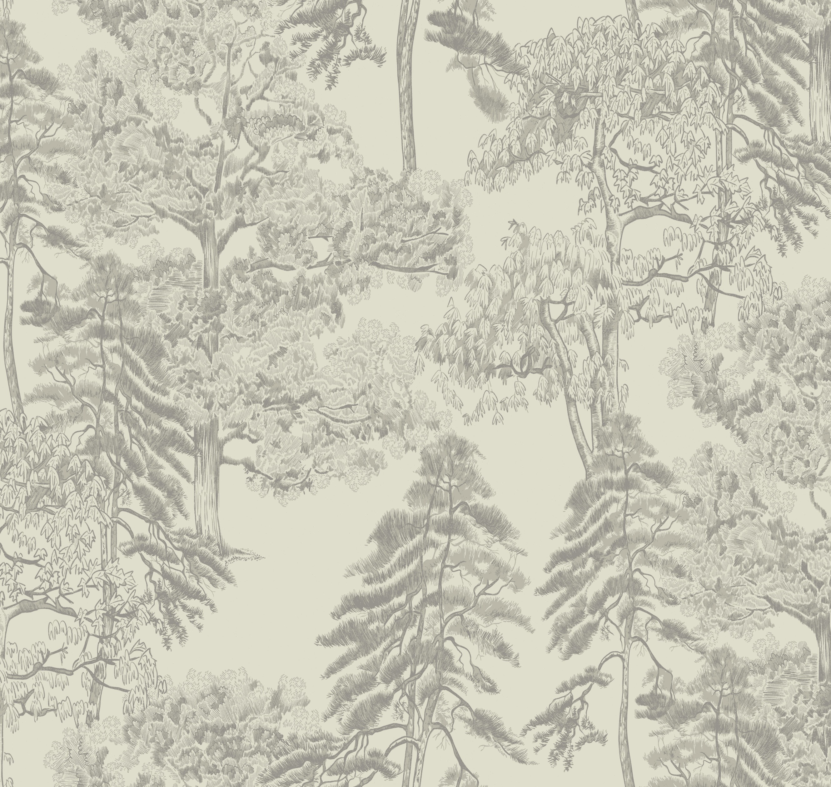 Обои Milassa Ambient vol.4 AM5 001 На фото Milassa Ambient vol.4 AM5 001