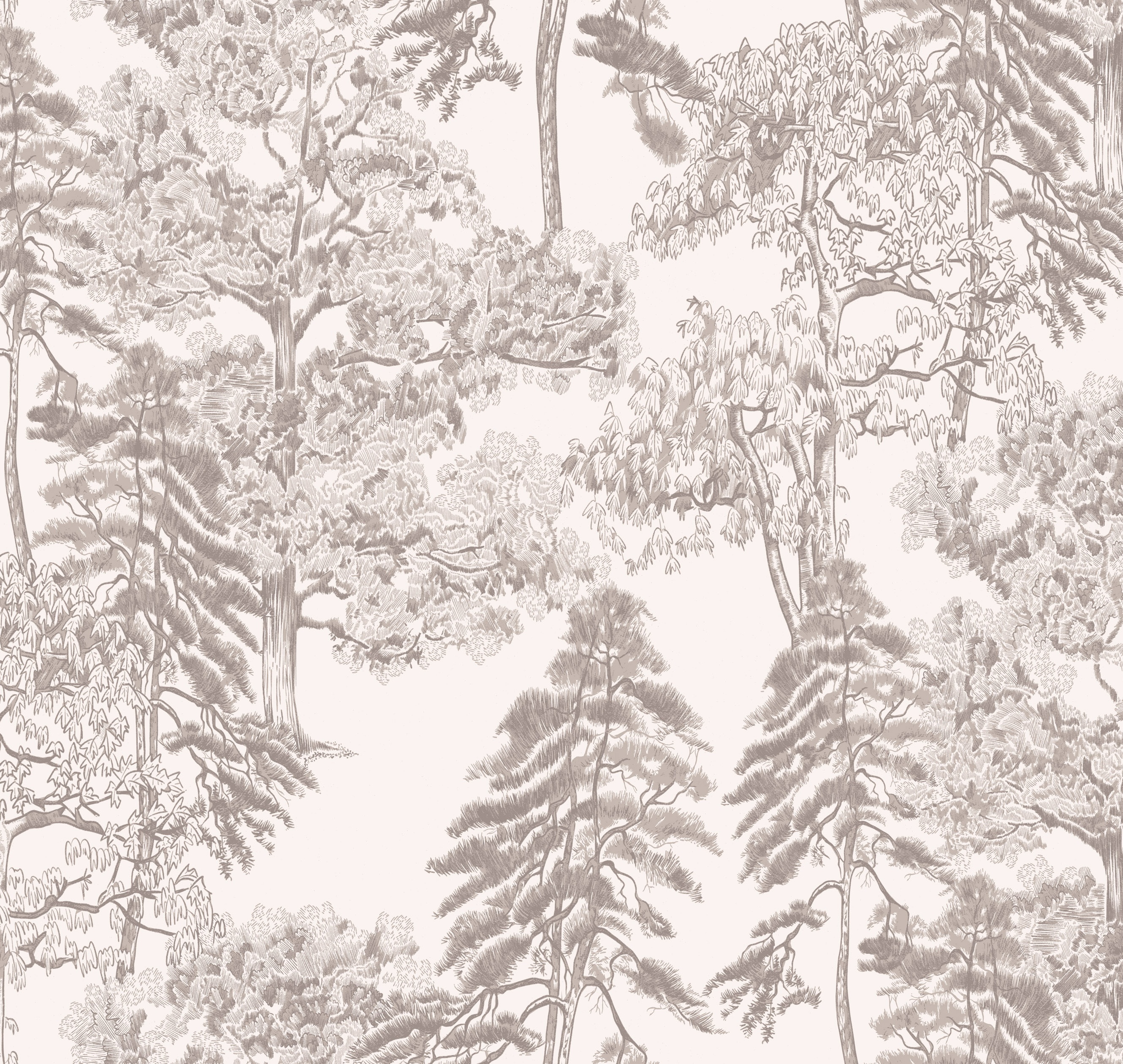 Обои Milassa Ambient vol.4 AM5 001-1 На фото Milassa Ambient vol.4 AM5 001-1