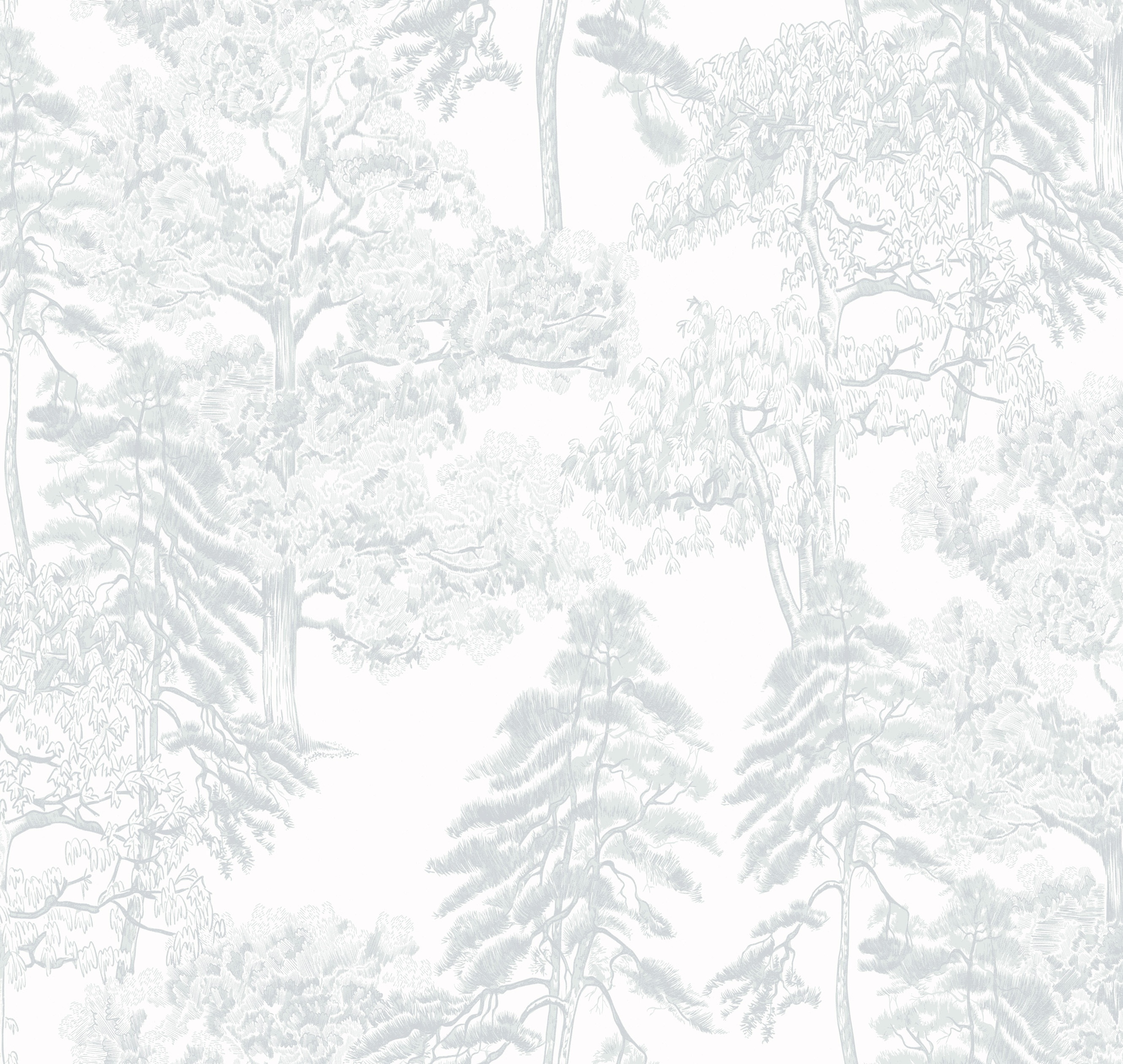 Обои Milassa Ambient vol.4 AM5 001-2 На фото Milassa Ambient vol.4 AM5 001-2