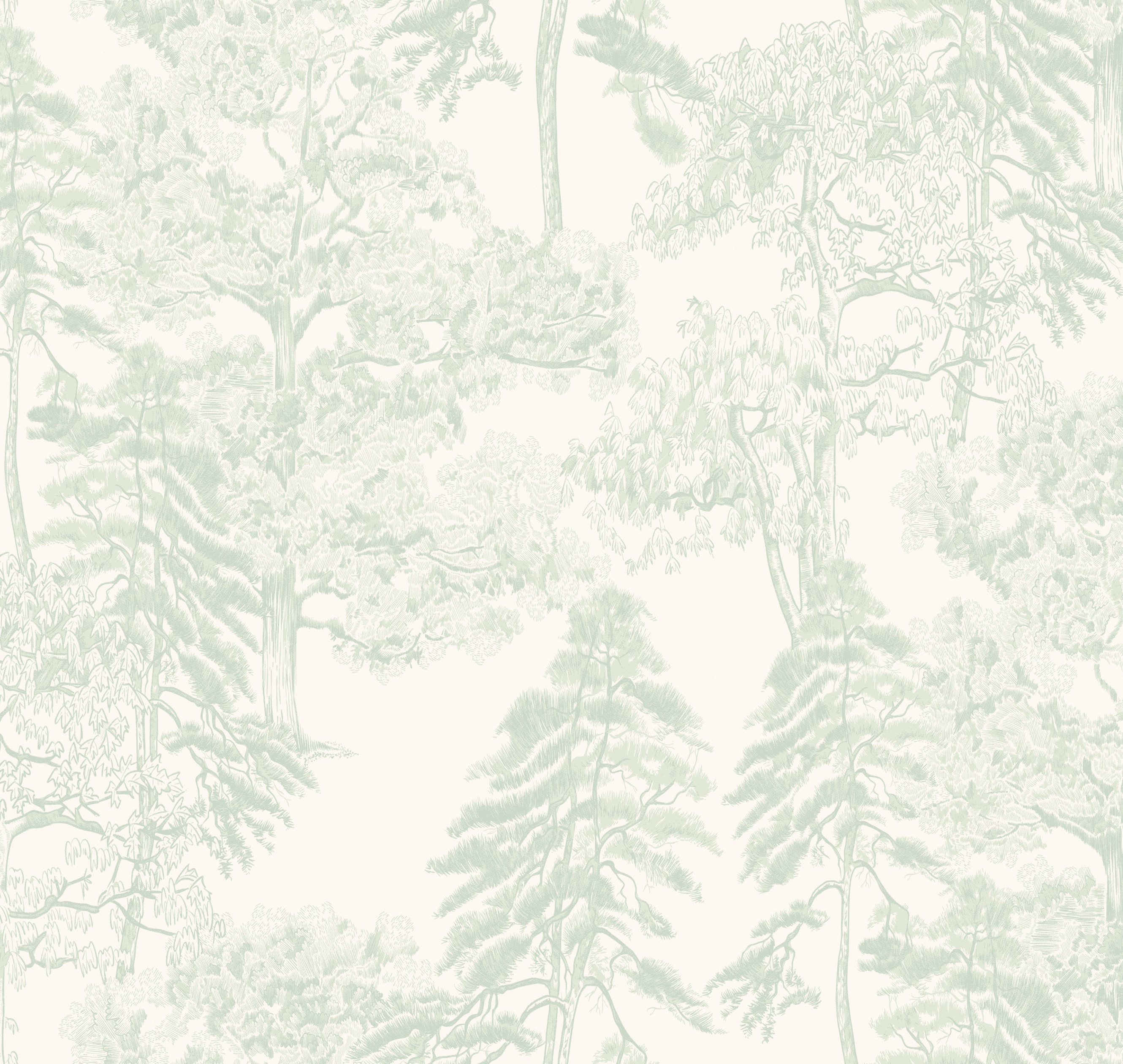 Обои Milassa Ambient vol.4 AM5 008-1 На фото Milassa Ambient vol.4 AM5 008-1