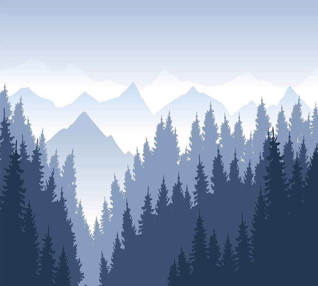 Товар добавлен в корзину