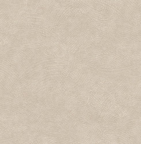 585002 Markus