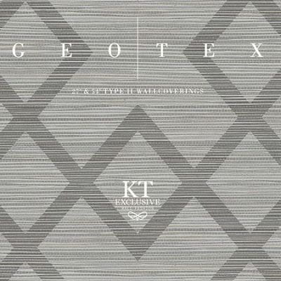 Geotex Wallquest Geotex