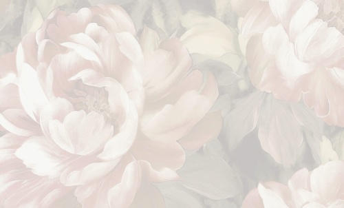 A79402 Anita