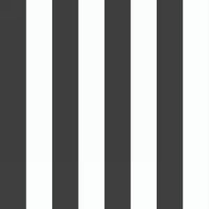 премиум флизелиновые полностью обои черные с полосой Eco Black and White 6076 На фото премиум флизелиновые полностью обои черные с полосой Eco Black and White 6076