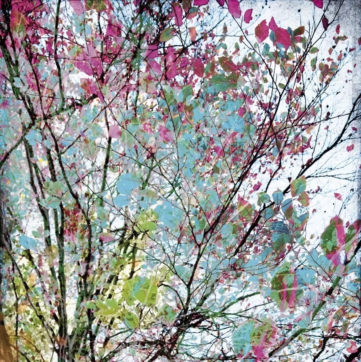 Товар добавлен в корзину