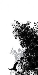 обои белые в комнату Mr Perswall с цветами  Urban Nature P030601-3 На фото обои белые в комнату Mr Perswall с цветами  Urban Nature P030601-3