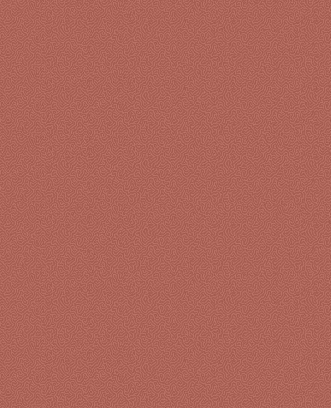 Товар добавлен в корзину