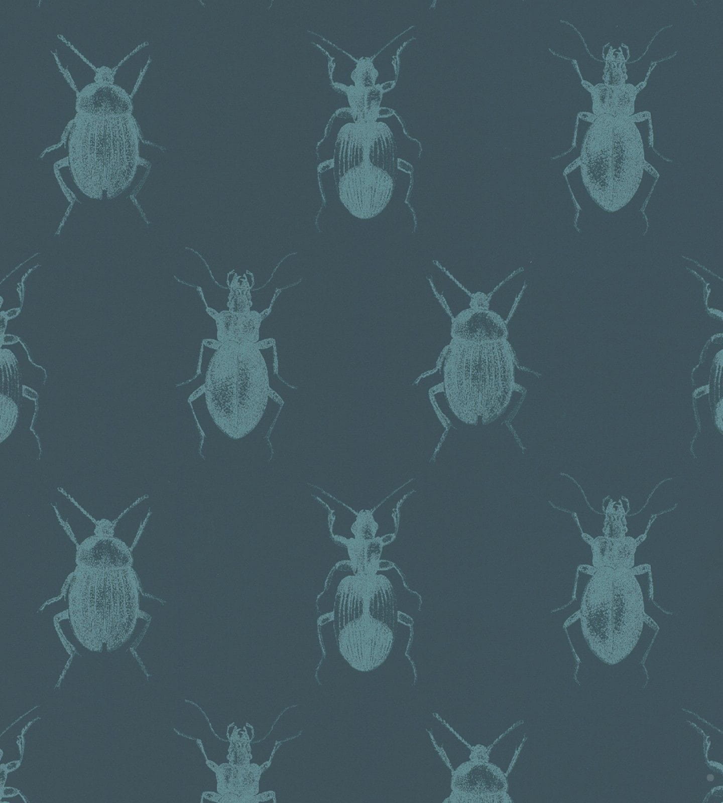 Товар добавлен в корзину