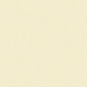 шведские флизелиновые полностью обои Eco однотонные Decorama 7053 На фото шведские флизелиновые полностью обои Eco однотонные Decorama 7053