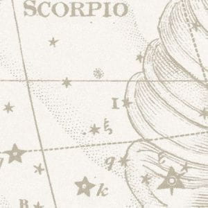 Обои Italreflexes Marco macro-018 scorpio gypsum Обои Italreflexes Marco macro-018 scorpio gypsum