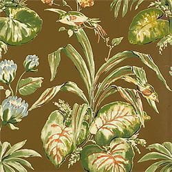 элитные обои коричневые с птицами Thibaut Waterlily 839-T-1151 На фото элитные обои коричневые с птицами Thibaut Waterlily 839-T-1151