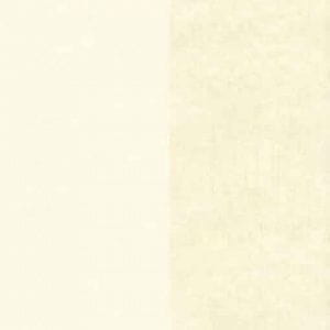 бумажные обои бежевые в комнату KT-Exclusive с полосой Watercolor Florals MF21304 На фото бумажные обои бежевые в комнату KT-Exclusive с полосой Watercolor Florals MF21304