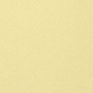 американские обои желтые в коридор Thibaut стиле «модерн» Texture Resource T14130 На фото американские обои желтые в коридор Thibaut стиле «модерн» Texture Resource T14130