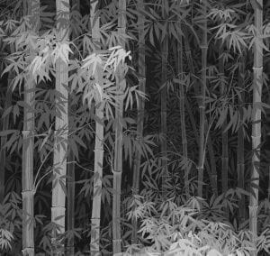 флизелиновые полностью обои черные в комнату Loymina с деревьями Landscape ART6 011 На фото флизелиновые полностью обои черные в комнату Loymina с деревьями Landscape ART6 011