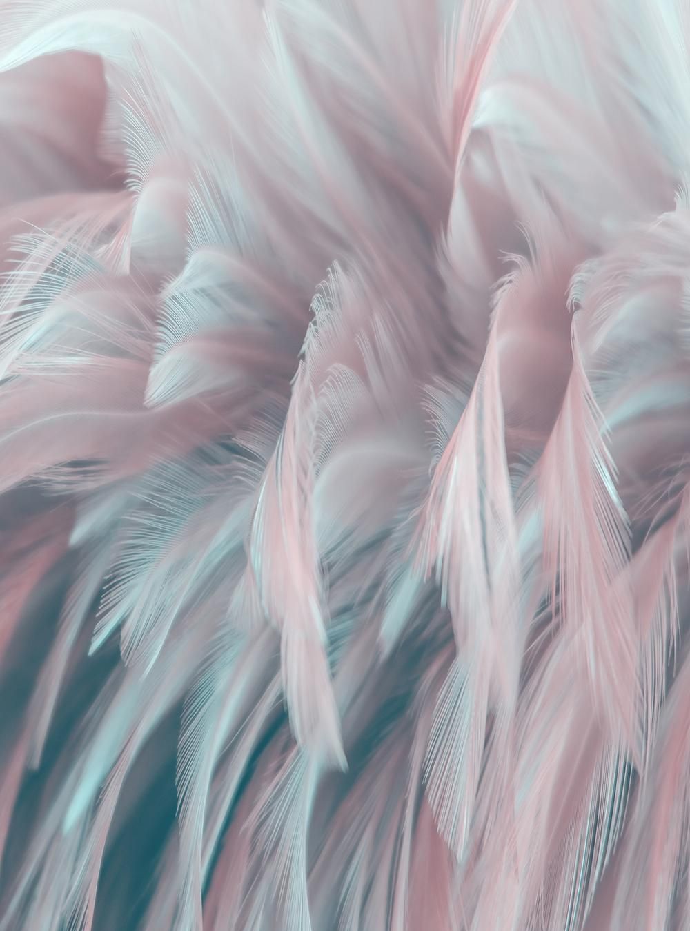 Товар добавлен в корзину