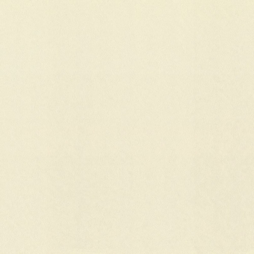 немецкие дорогие виниловые обои бежевые в комнату окрашенные стены Rasch Gentle Elegance 980363 На фото немецкие дорогие виниловые обои бежевые в комнату окрашенные стены Rasch Gentle Elegance 980363