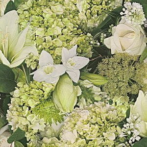 флизелиновые полностью обои зеленые в комнату Rasch с цветами  Tiles & More 885507 На фото флизелиновые полностью обои зеленые в комнату Rasch с цветами  Tiles & More 885507