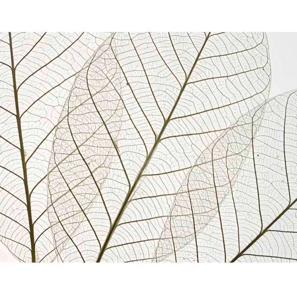 Товар добавлен в корзину