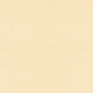 немецкие виниловые обои бежевые в комнату AS-Creation однотонные La Pasion 94329-2 На фото немецкие виниловые обои бежевые в комнату AS-Creation однотонные La Pasion 94329-2