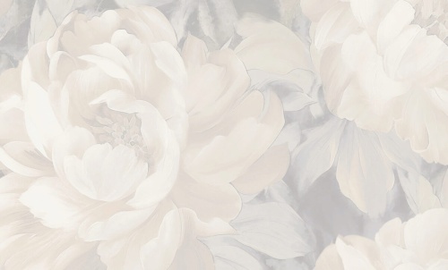 A79401 Anita