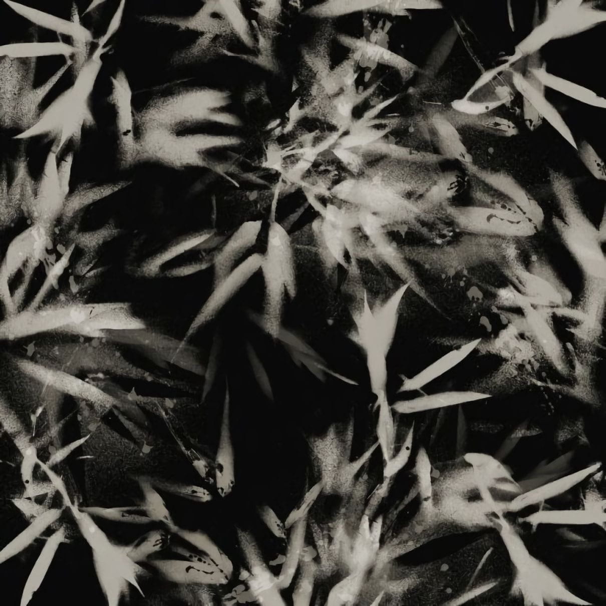 Товар добавлен в корзину