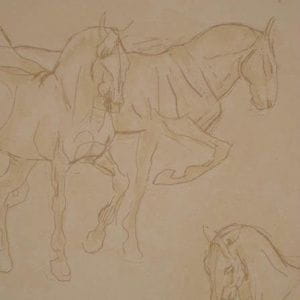 флизелиновые полностью обои коричневые в комнату Lewis&Wood Classic Wallpapers Equus-Bay-Wpcw91674011 На фото флизелиновые полностью обои коричневые в комнату Lewis&Wood Classic Wallpapers Equus-Bay-Wpcw91674011
