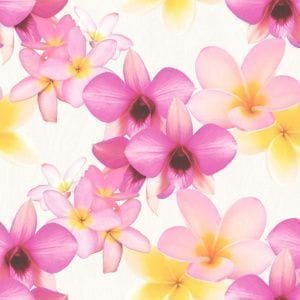 бельгийские флизелиновые полностью обои с цветами  Decoprint Paradisio PA-16831 На фото бельгийские флизелиновые полностью обои с цветами  Decoprint Paradisio PA-16831