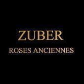 Roses Anciennes Zuber Roses Anciennes