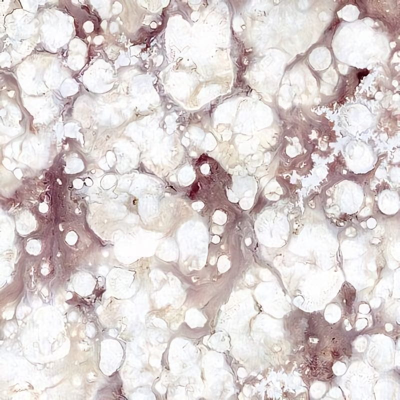 Товар добавлен в корзину