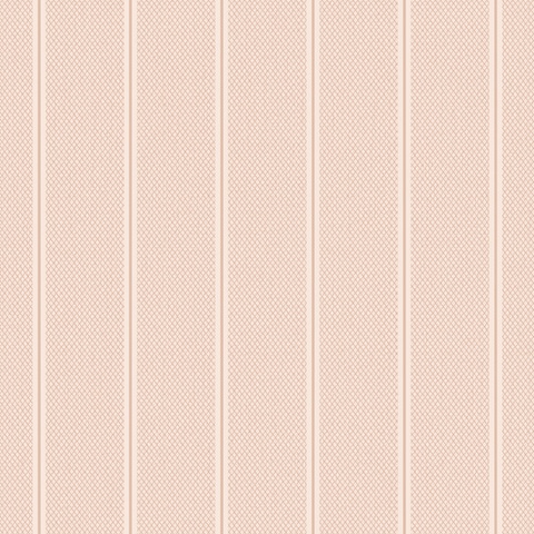 54490-10 Bocca