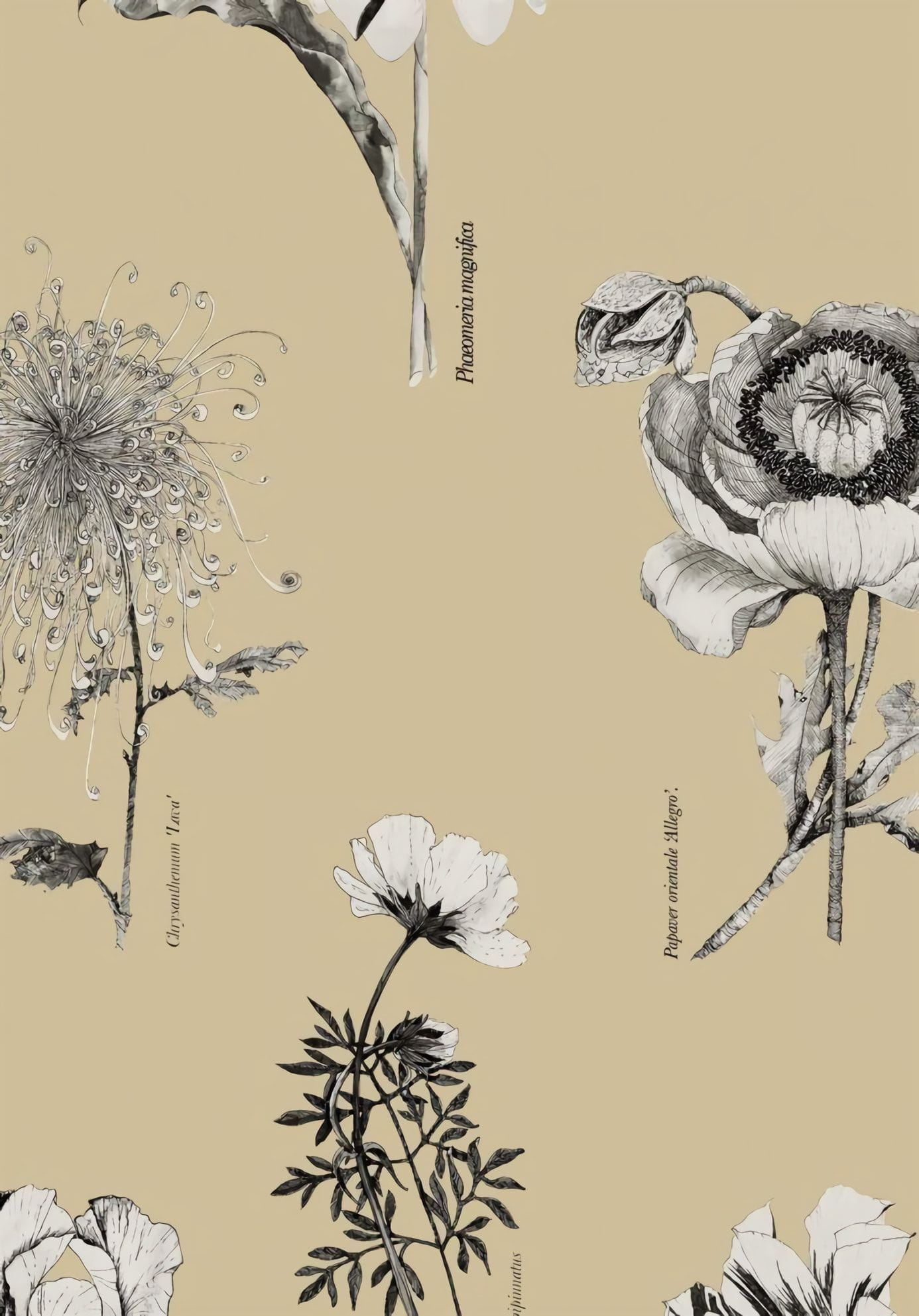 Товар добавлен в корзину