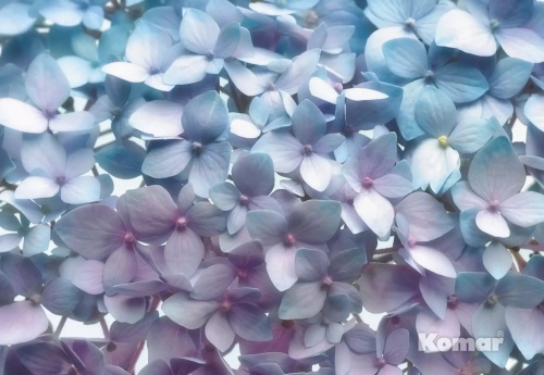 дорогие виниловые обои мультиколор Фотообои распродажа 8-961 На фото дорогие виниловые обои мультиколор Фотообои распродажа 8-961