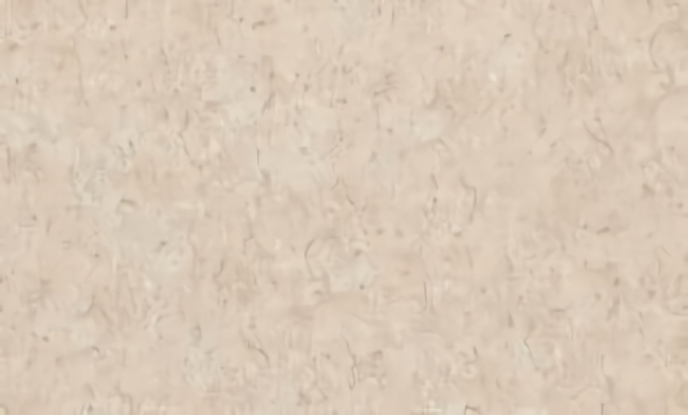 Товар добавлен в корзину